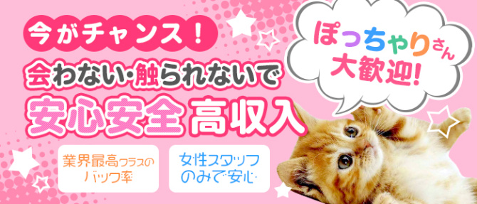 Live Chat MJTのぽっちゃり求人画像