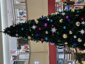 松戸人妻花壇（モアグループ）