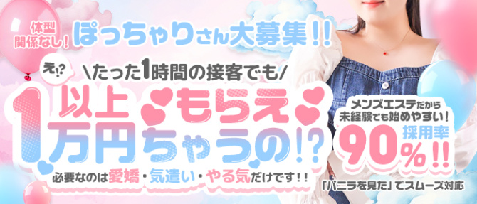 モチモチのぽっちゃり求人画像