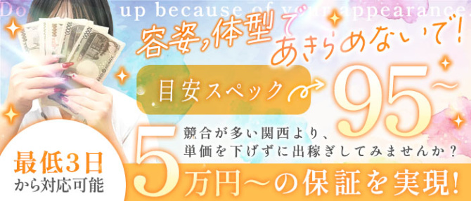 萌えラブスクールのぽっちゃり求人画像