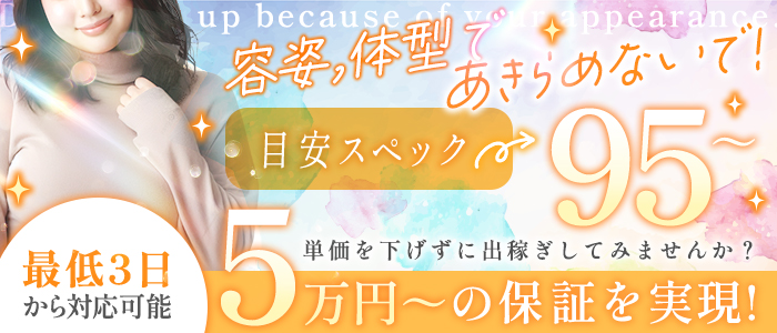 萌えラブスクールのぽっちゃり求人画像