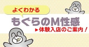 【未経験から始めるM性感】のアイキャッチ画像