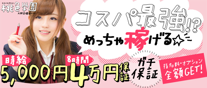 桃色学園の求人画像
