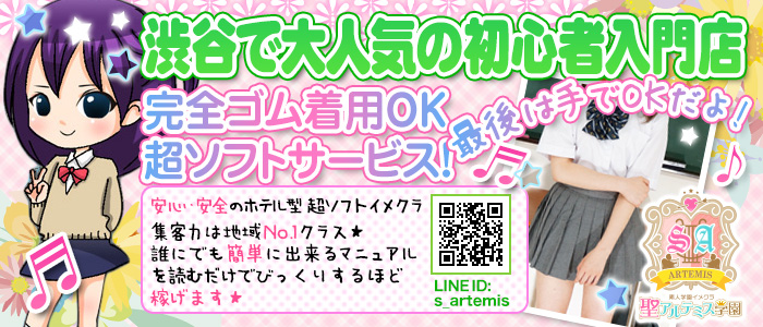 聖アルテミス学園