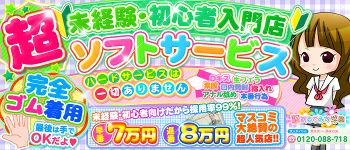 聖あるてみす学園の求人画像