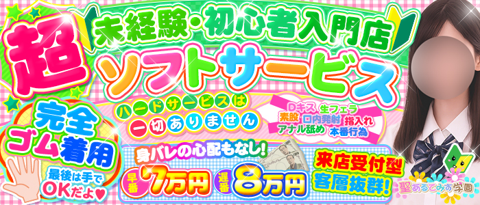 聖あるてみす学園の未経験求人画像