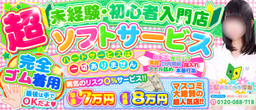聖あるてみす学園