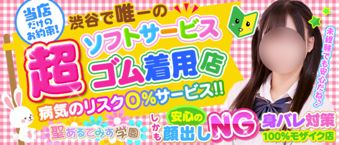 聖あるてみす学園のぽっちゃり求人画像