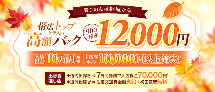 帯広人妻デリヘル 桃屋の求人画像