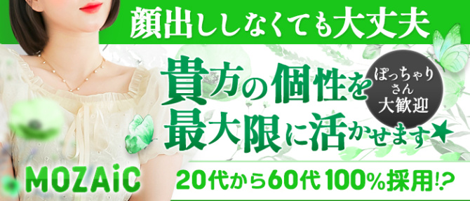 MOZAIC(モザイク)のぽっちゃり求人画像