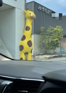 今日は宣伝＾＾のアイキャッチ画像