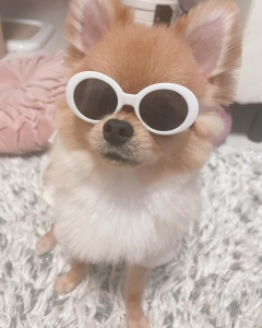 📞 最近、面接のお問い合わせ増えてますのアイキャッチ画像