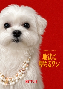 【嘘偽りなし】今のところ...のアイキャッチ画像