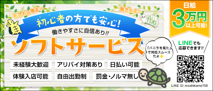 もしもし亀よ亀さんよ 名古屋店の求人画像