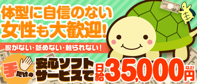もしもし亀よ亀さんよ 名古屋店のぽっちゃり求人画像