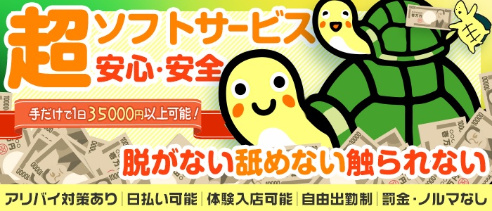 もしもし亀よ亀さんよ 名古屋店の体験入店求人画像