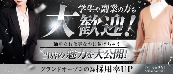 ｍSS 僕と2人の御主人様達