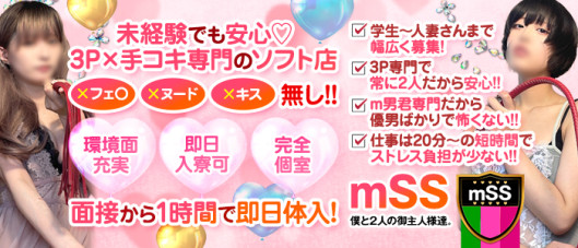 mSS 僕と2人の御主人様達