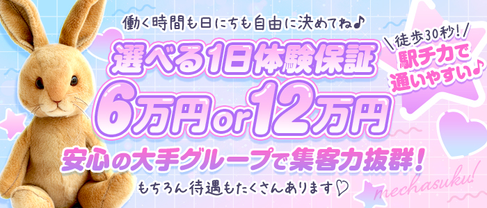 めちゃすく！北学園