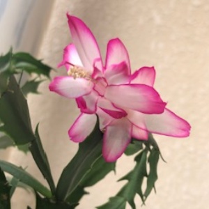 思い立ったら、今すぐに！　稼ぎたいなら、迷わずに！のアイキャッチ画像