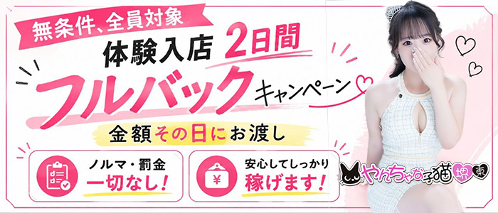 やんちゃな子猫堺東店の体験入店求人画像