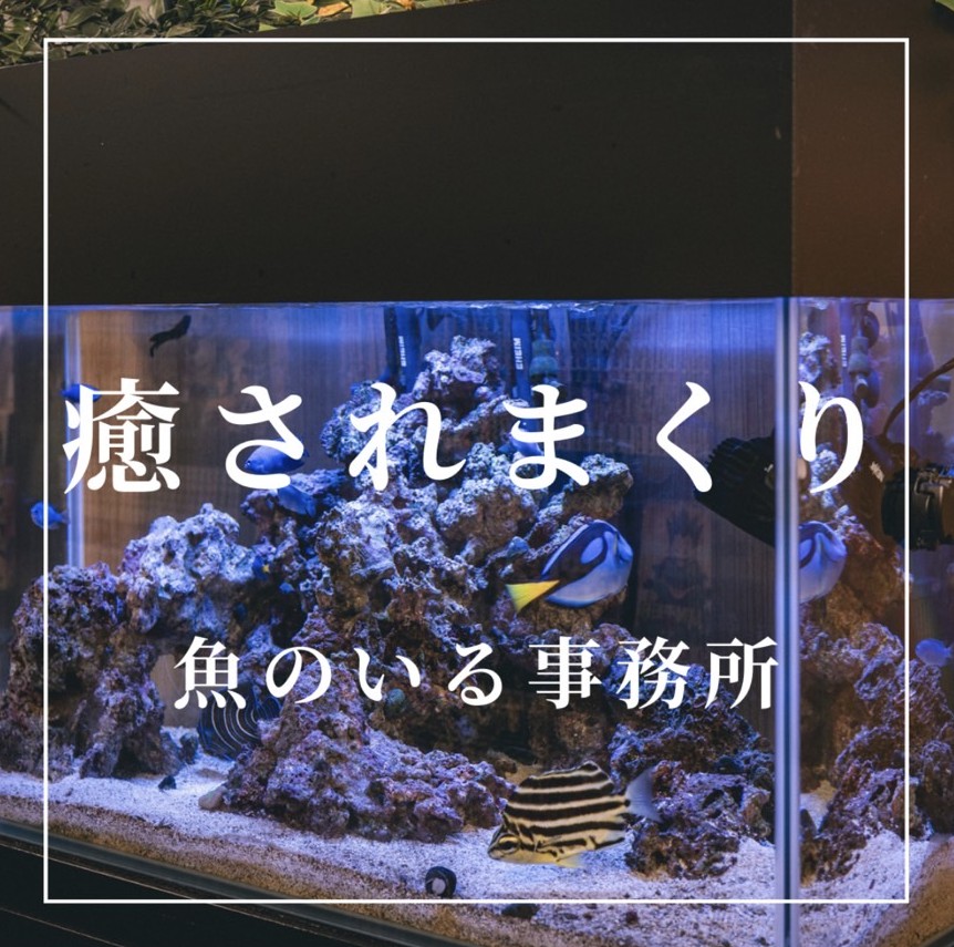 My Essentials 池袋のその他画像2