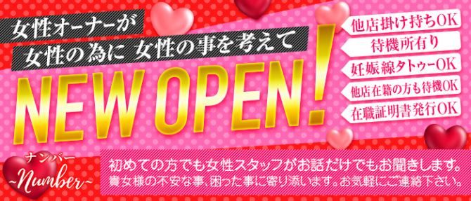 No.(ナンバー)のぽっちゃり求人画像