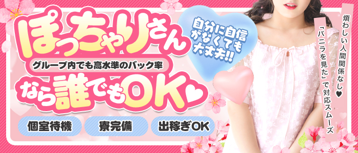 ちゃんこ岐阜中津川恵那店の求人画像