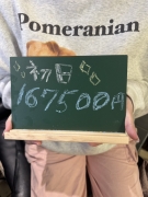 出稼ぎ満足度には自信アリ