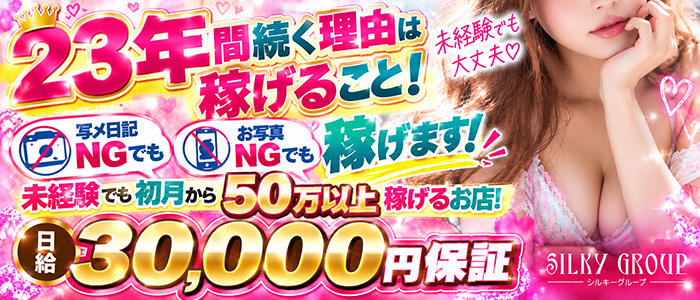シルキーグループ