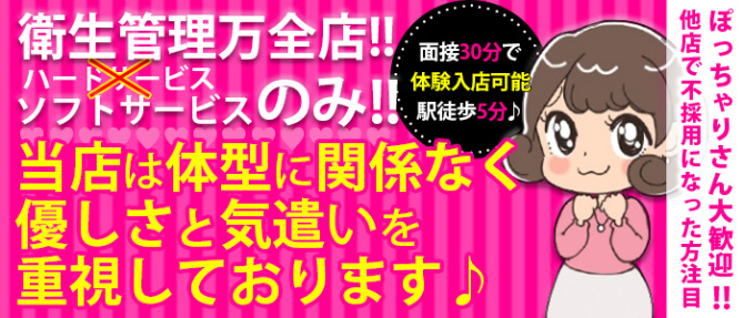 ナチュラルプリンセスのぽっちゃり求人画像