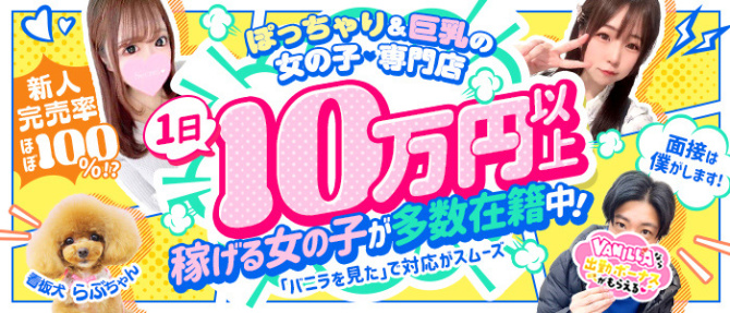 ニューデリーのぽっちゃり求人画像