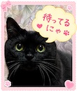 ご奉仕アロマ 猫の宅急便の面接人画像