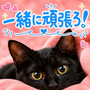あの「ご奉仕アロマ猫の宅急便」がお店も心もリニューアル！？のアイキャッチ画像