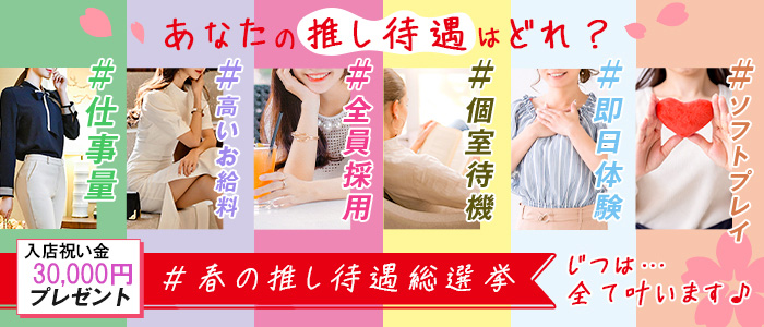 人妻ネットワーク 春日部～岩槻編の求人画像