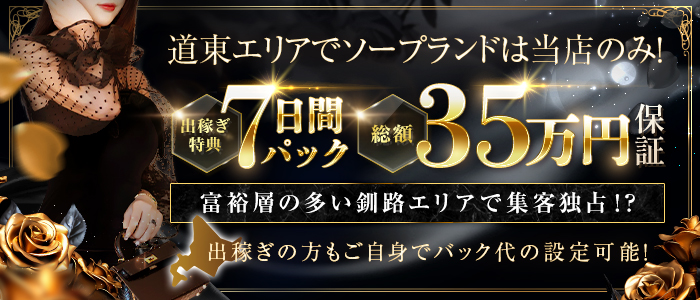 ニュー東京ソープランドの出稼ぎ求人画像