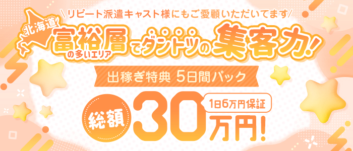 ニュー東京ソープランドの出稼ぎ求人画像