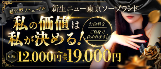 ニュー東京ソープランド