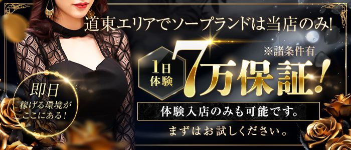 ニュー東京ソープランドの体験入店求人画像