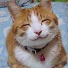 お気軽い何でもお問合せください☆のアイキャッチ画像