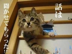 貴方に合ったプロデュースのアイキャッチ画像