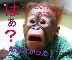 ☆マイナンバーや収入のことでお悩みのあなた！☆のアイキャッチ画像