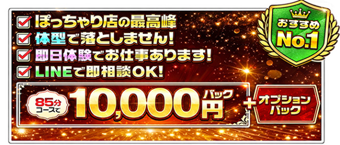 BBW 西川口店のぽっちゃり求人画像
