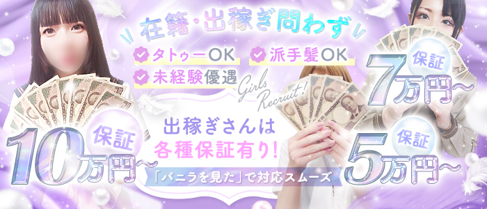 やまとなでしこ桜組の求人画像