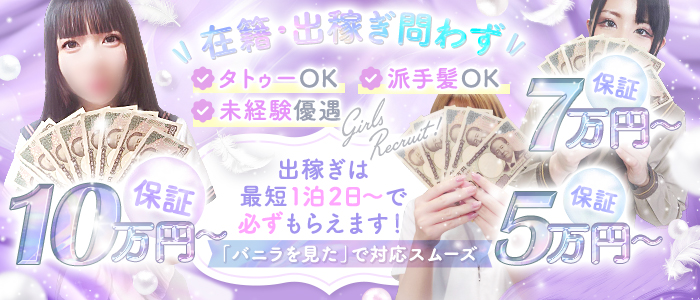 やまとなでしこ桜組の求人画像