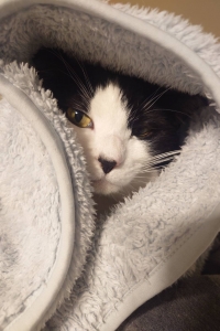 本当に全額手渡し、日払いで貰えるんですか❓のアイキャッチ画像