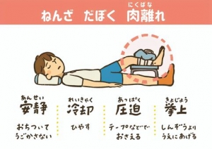 雪がとけても油断したら負けでしたのアイキャッチ画像