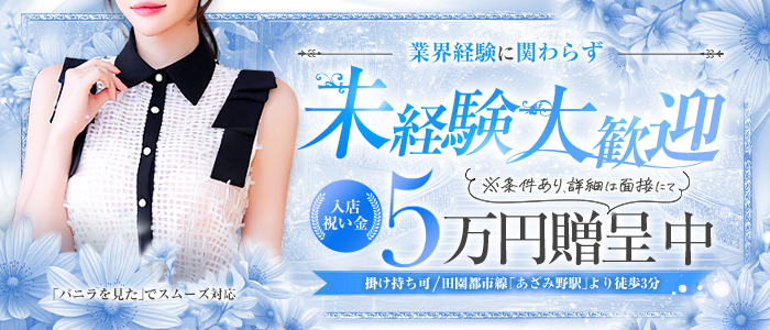 NOAの未経験求人画像