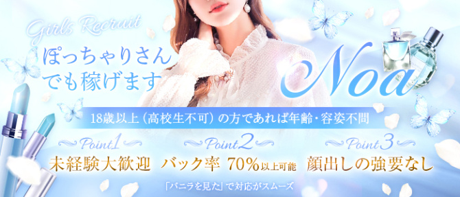 NOAのぽっちゃり求人画像
