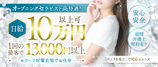 Noir Desirの求人情報